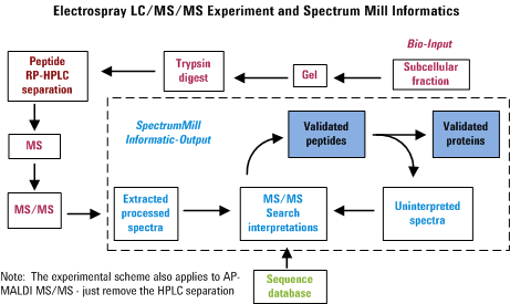 Experiment Scheme