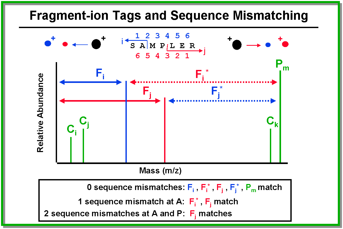 Fragment-ion Tag and Sequence Mismatching